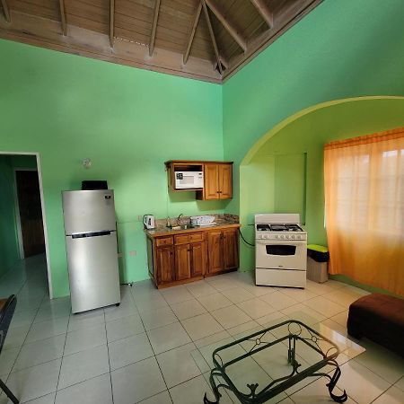 Wizzy Apartment Ocho Ríos Exterior foto