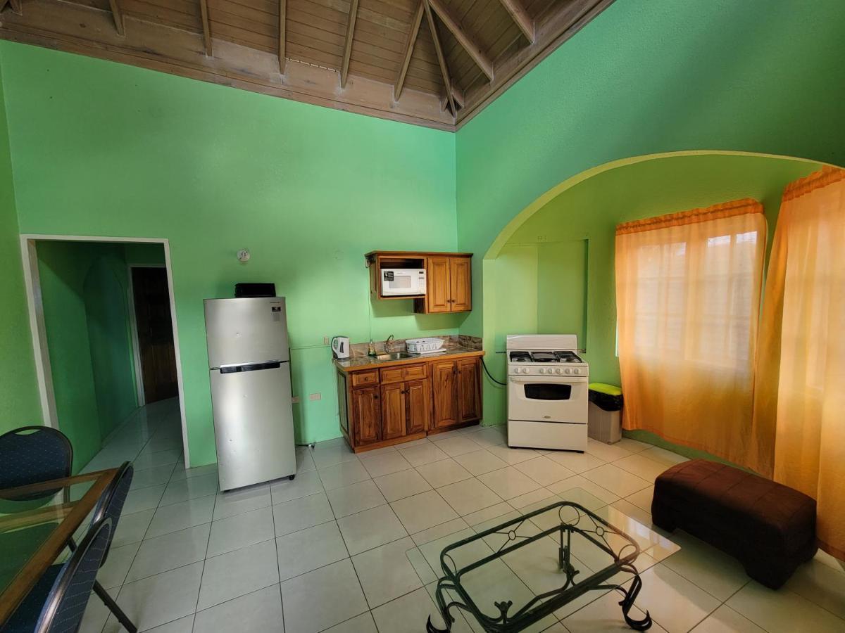 Wizzy Apartment Ocho Ríos Exterior foto