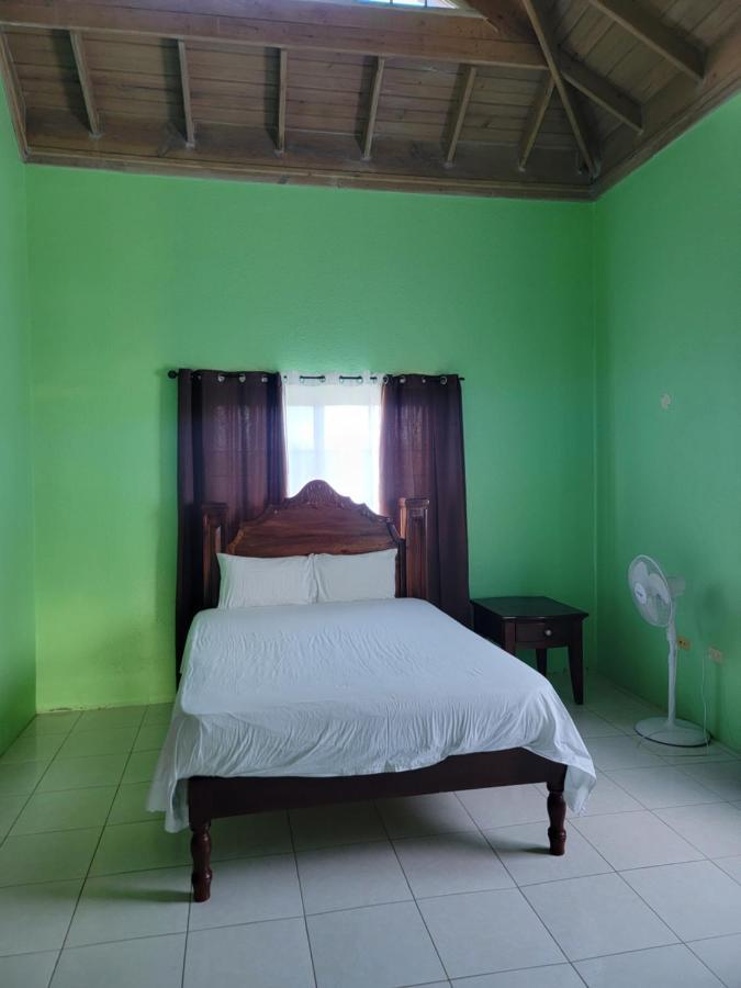 Wizzy Apartment Ocho Ríos Exterior foto